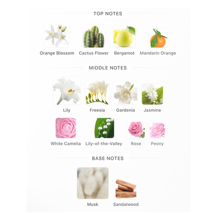 Carolina Herrera 212 NYC Pour Femme Eau de Toilette
