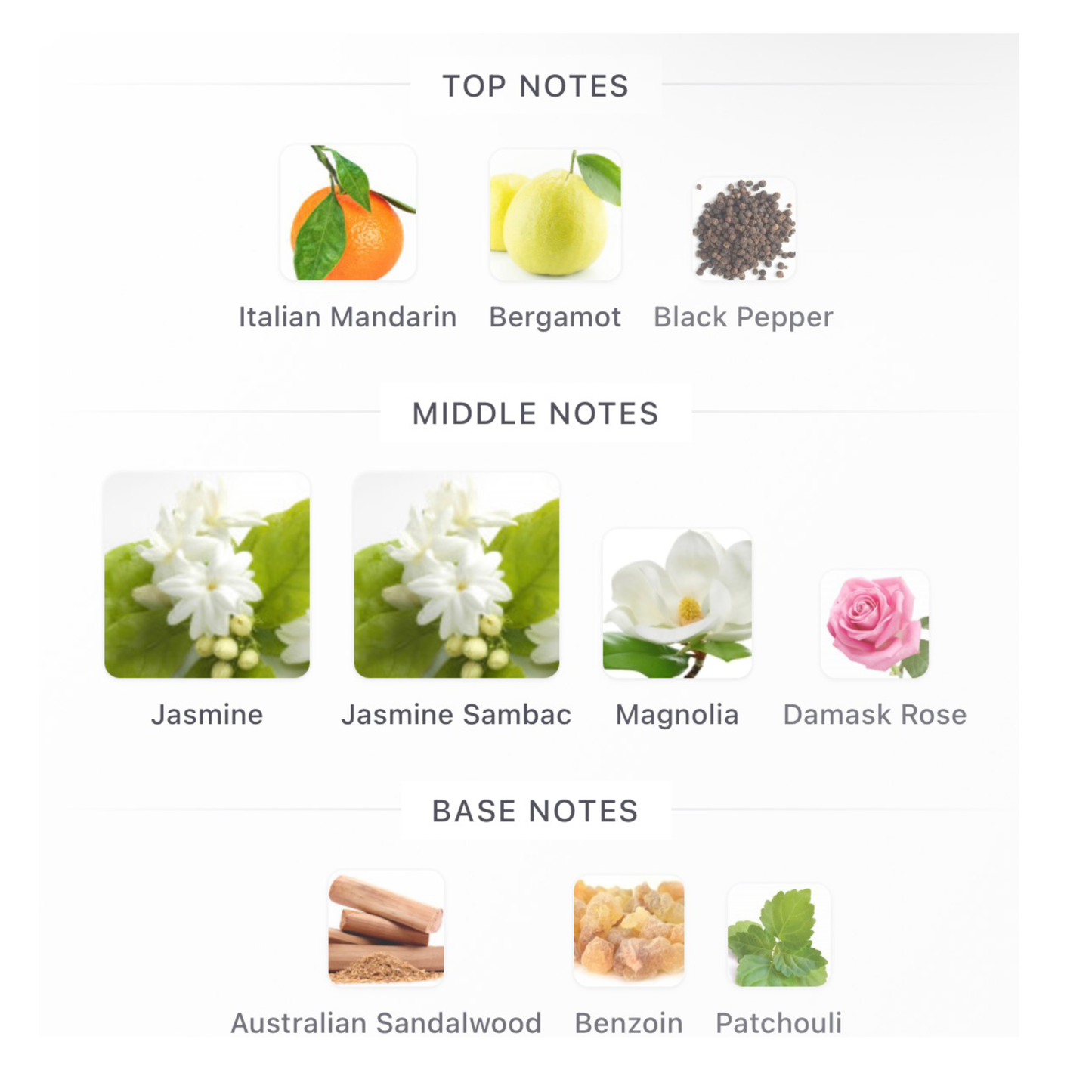 Gucci Flora Gorgeous Jasmine Eau De Parfum