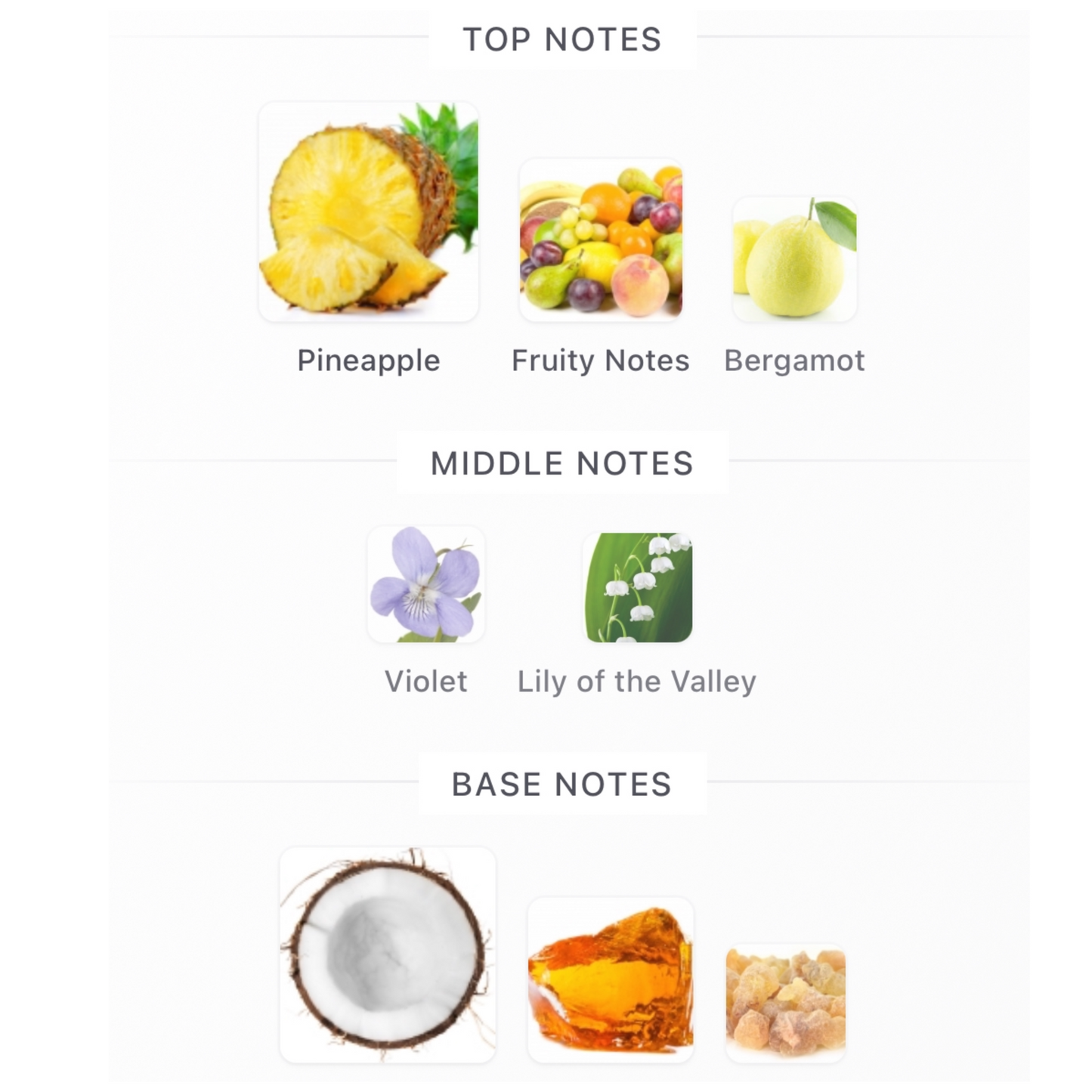 Kajal Kolada Extrait de Parfum