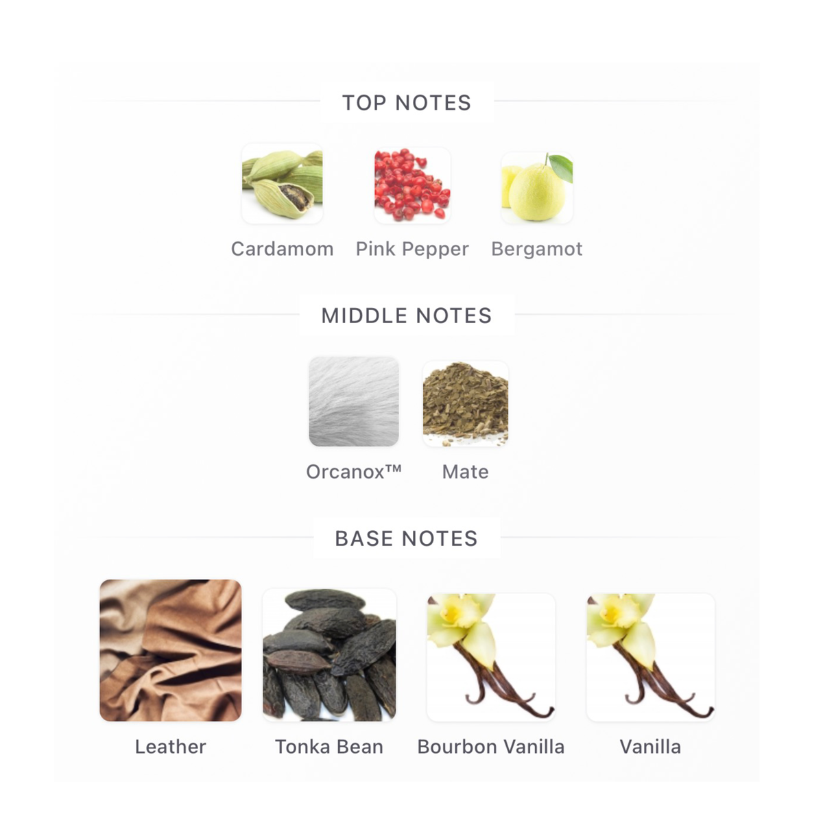 Bottega Veneta Moment After Eau De Parfum