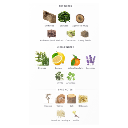 Tom Ford Costa Azzura Eau De Parfum