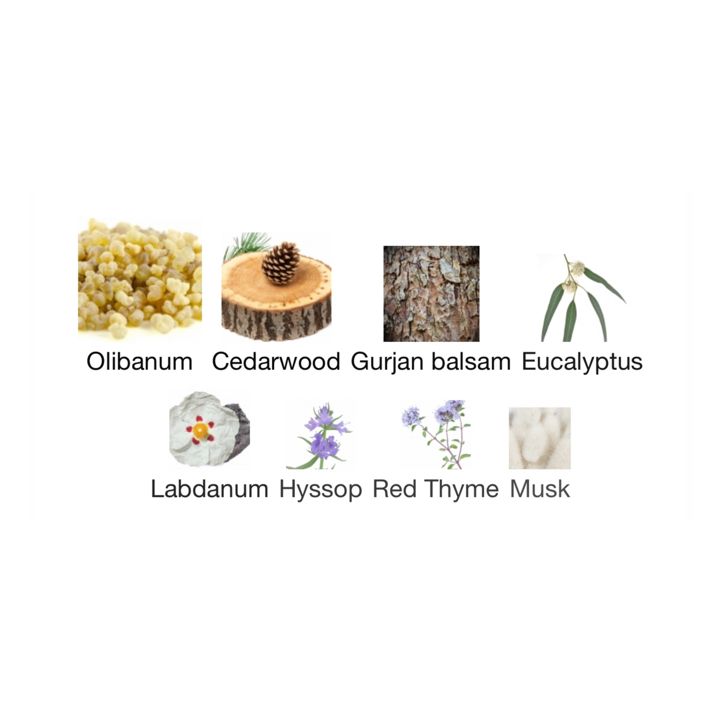 Le Labo Eucalyptus 20 Eau de Parfum