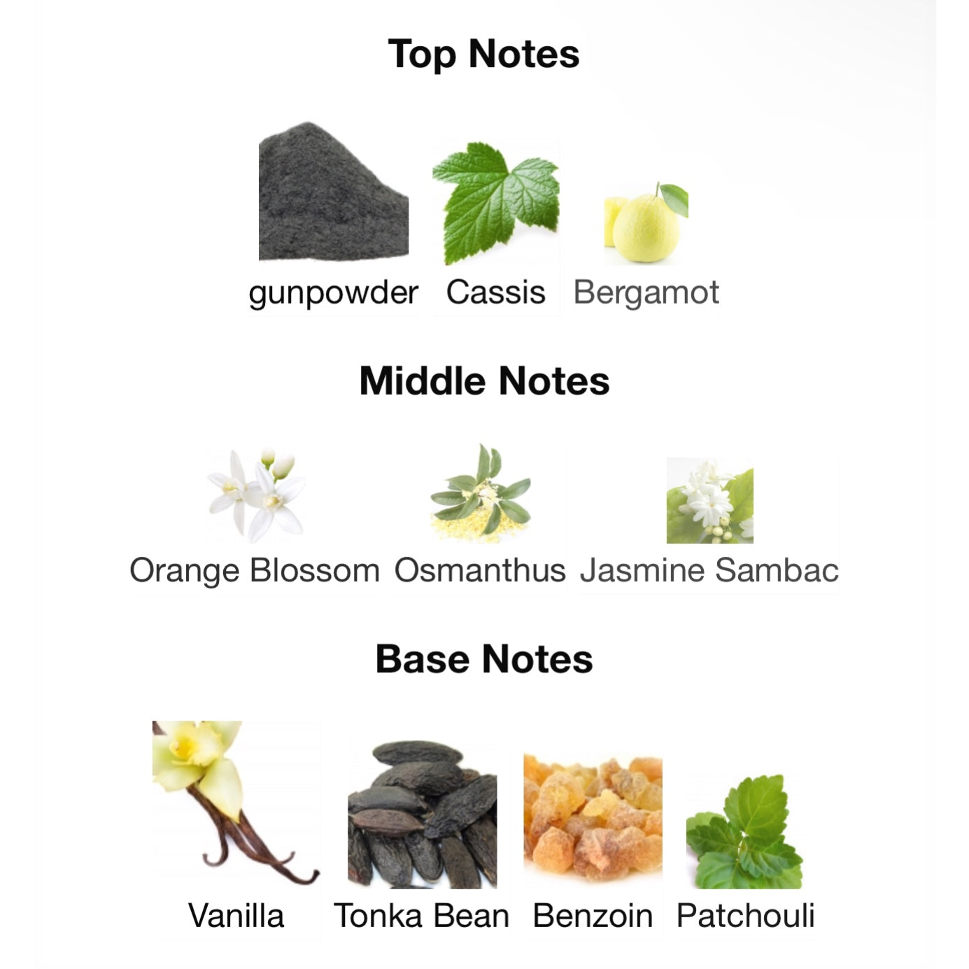 flowerbomb tiger lily notes Viktor & Rolf Flowerbomb Tiger Lily Eau De Parfum – Chase Scents Oils