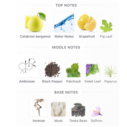 Versace Dylan Blue Pour Homme Eau De Toilette