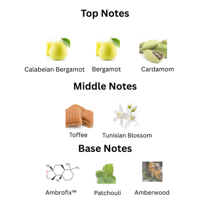 Pursuit For Him Extrait de Parfum By ChaseScents™️